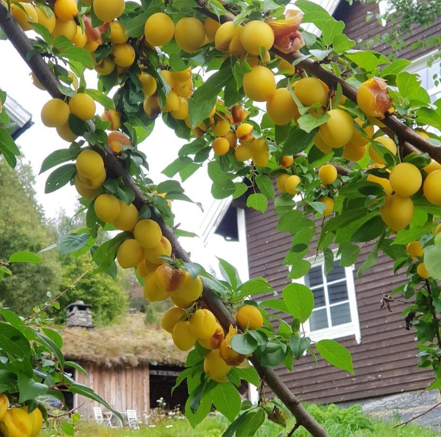 Heggjabygda Gjestegard - Historisk Tommerhus I Landlige Omgivelser Nordfjordeid Buitenkant foto