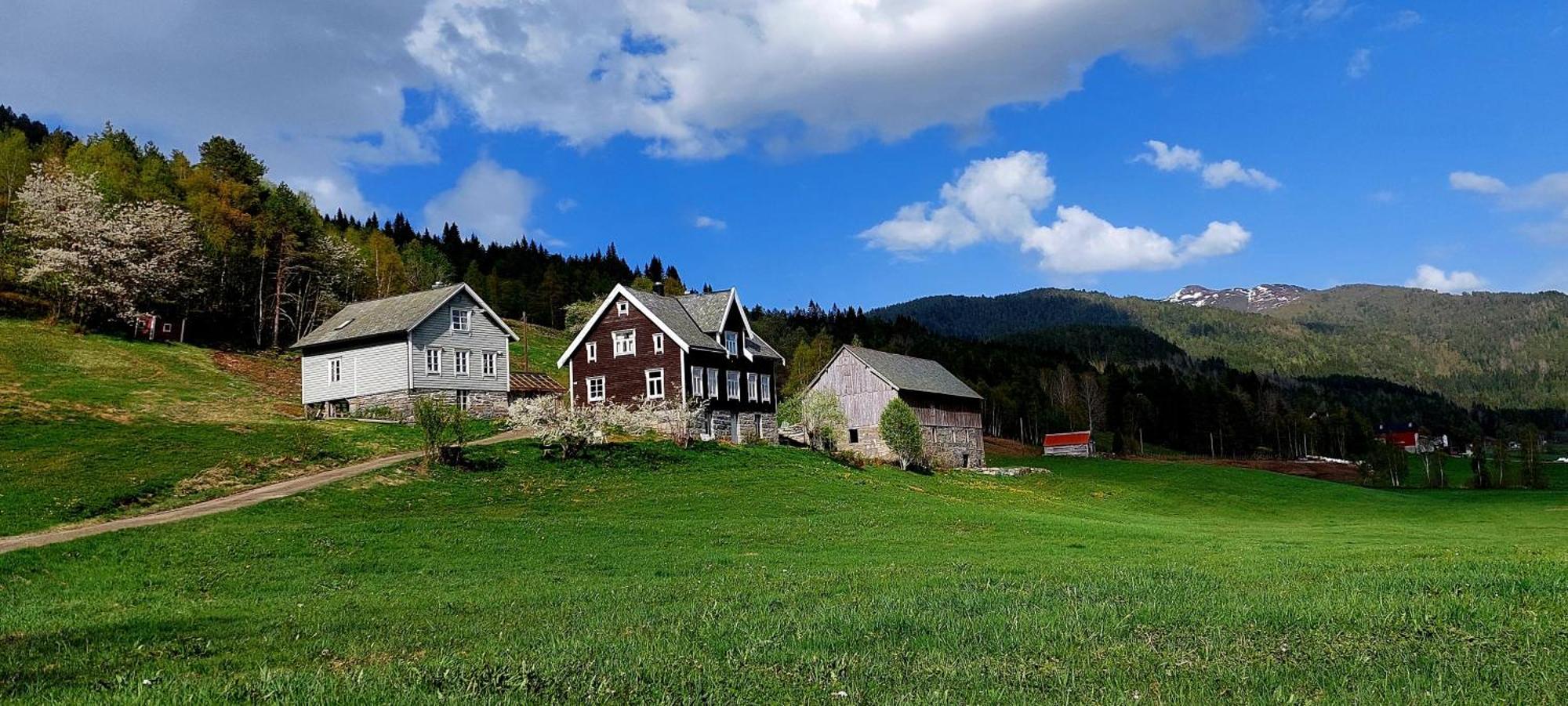 Heggjabygda Gjestegard - Historisk Tommerhus I Landlige Omgivelser Nordfjordeid Buitenkant foto